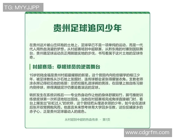 追风少年的足球梦想与成长之路：从校园到绿茵场的奋斗故事
